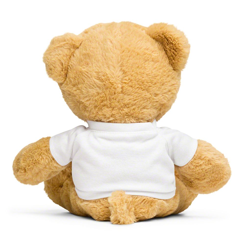 Throtl Teddy Bear with T-shirt